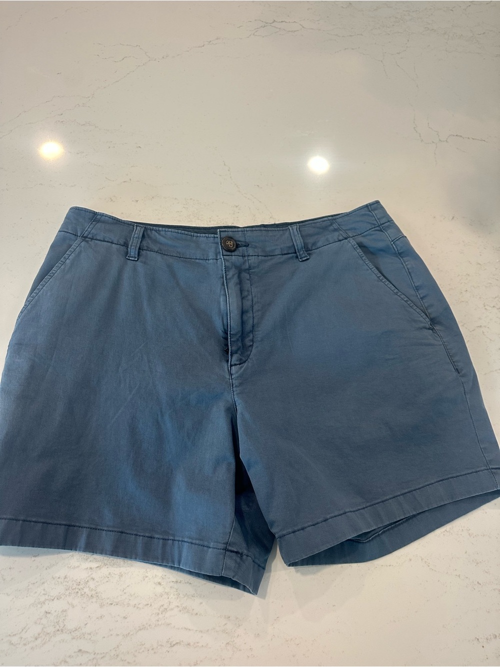 chubbies Blue Mens Chino Shorts